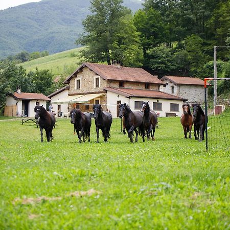 Agriturismo Carovane Compiano Extérieur photo