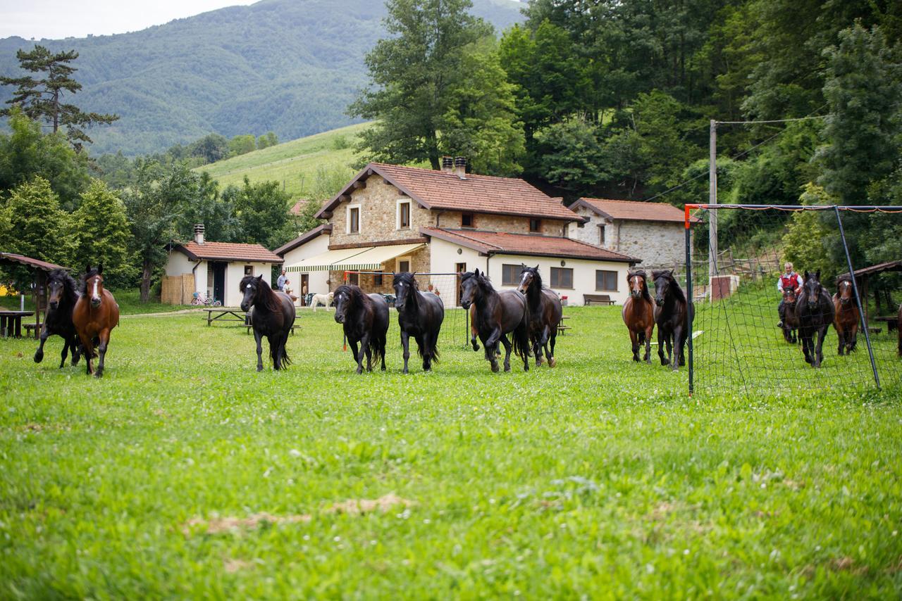 Agriturismo Carovane Compiano Extérieur photo